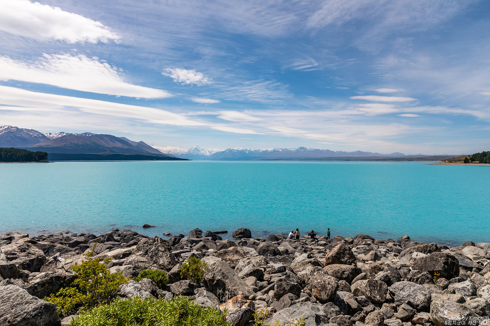 뉴질랜드 캠퍼밴 여행 #23 - 에메랄드 빛 풍경, 푸카키 호수 전망대