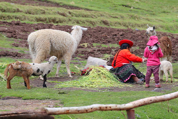 쿠스코(Cusco) 시내에서 가까운 잉카유적, 탐보마차이(Tambomachay)와 푸카푸카라(Puka Pukara)