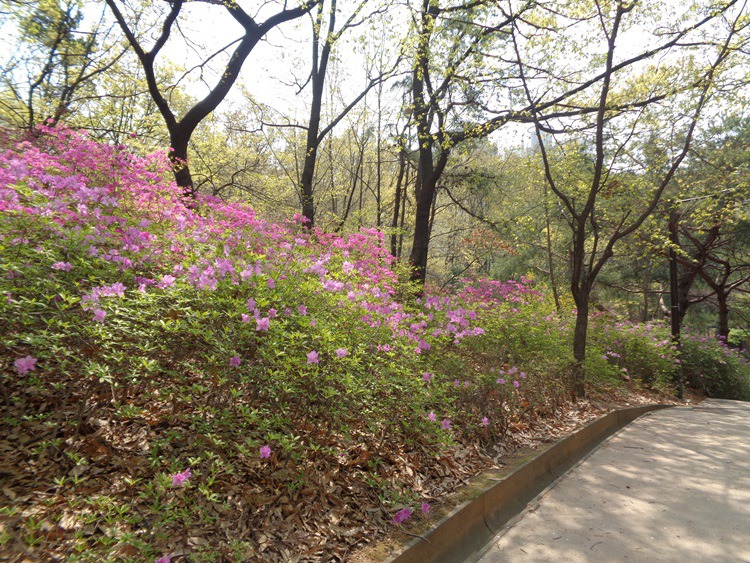  송파구 오금동 오금공원