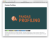 [파이썬] pandas-profiling
