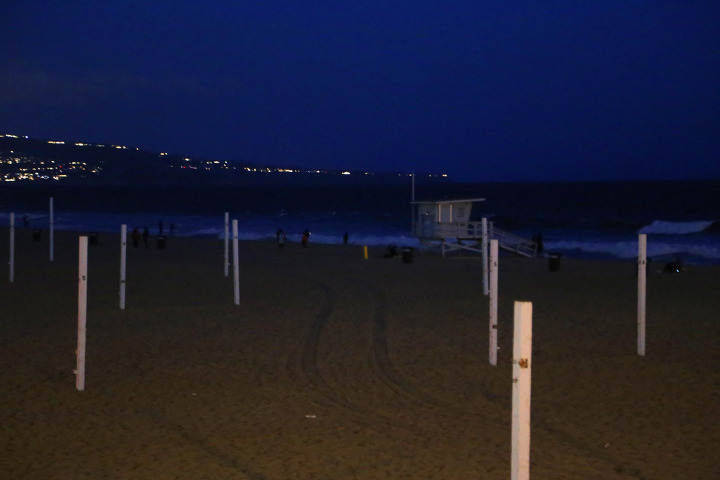 파란색 형광으로 빛나는 파도, bioluminescent waves 찾아간 맨하탄비치(Manhattan Beach) 바닷가