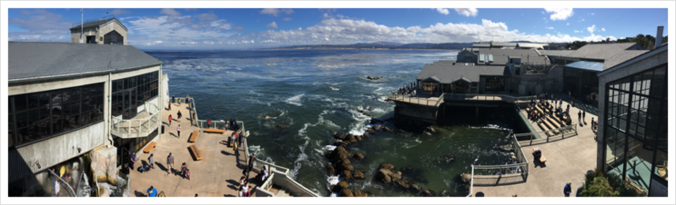 역사 깊은 항구 도시 Monterey - 2 : [미국일주자동차여행] - 74일째 - 2