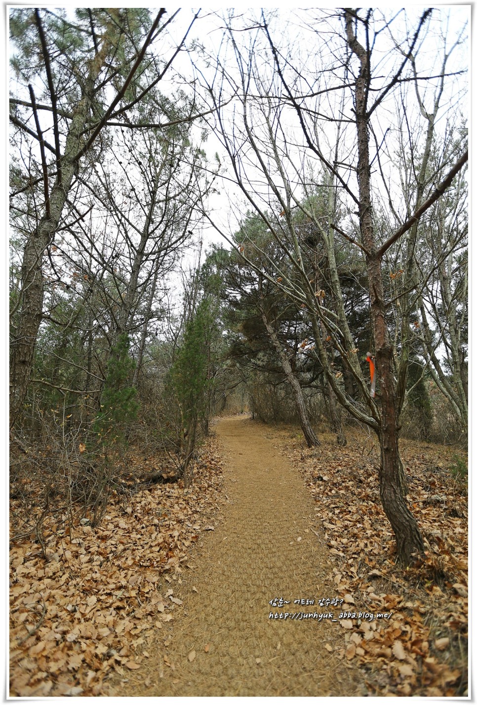 서울 근교 가볼만한곳 안산 대부광산퇴적암층