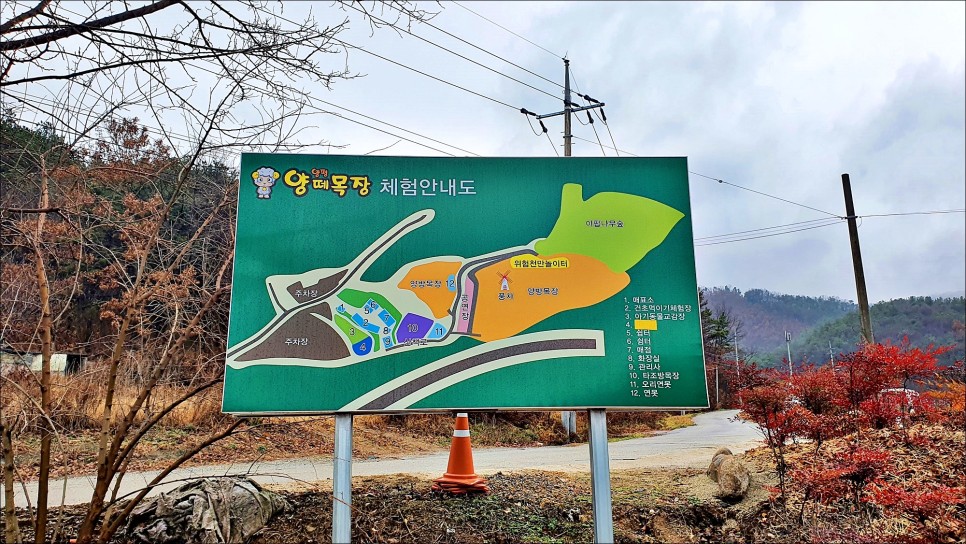 서울근교 당일치기 여행 양평양떼목장!