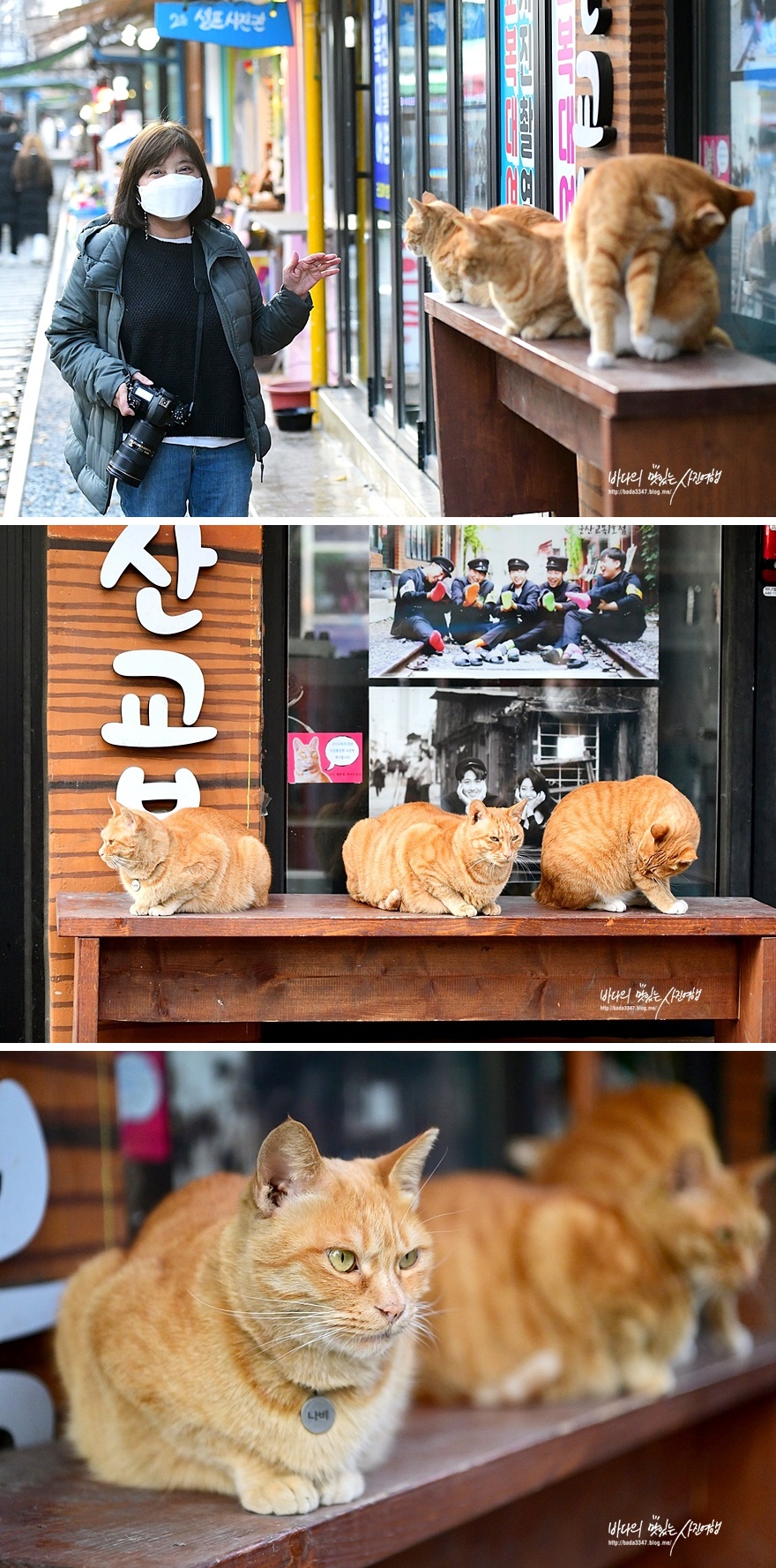 군산 가볼만한곳 전포해양공원 외 7곳 정리