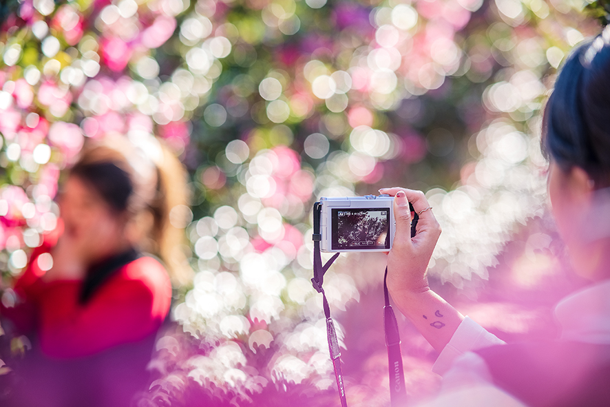 삼양 RF AF 85mm F1.4 RF 펌웨어 이후 사용 후기!!