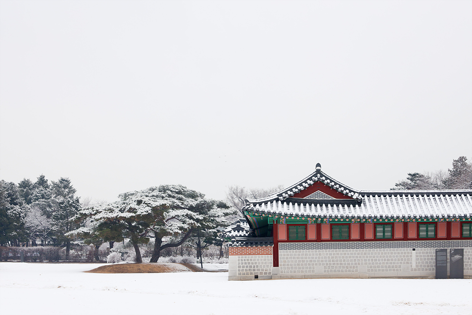 서울 경복궁 눈내린 설경 겨울 데이트