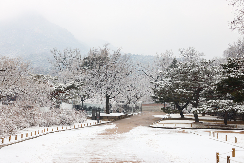 서울 경복궁 눈내린 설경 겨울 데이트