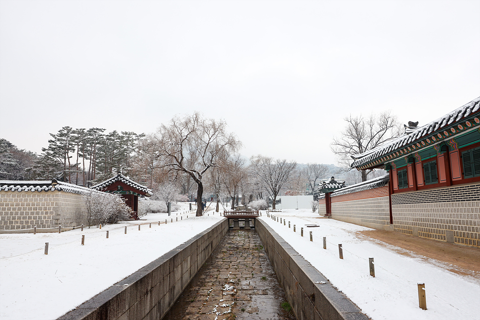 서울 경복궁 눈내린 설경 겨울 데이트