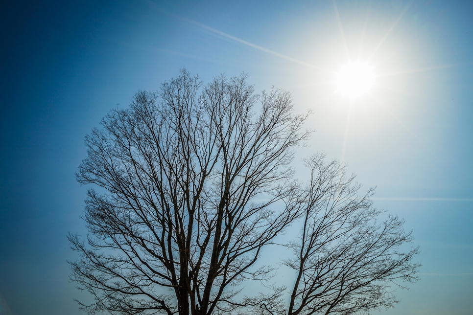 양평 두물머리 사계절(봄, 여름, 가을, 겨울) 풍경 소개