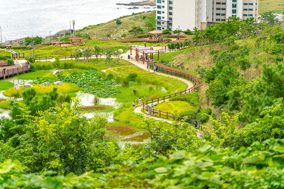 부산 이기대자연마당, 소니 a7r2 촬영