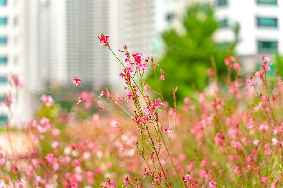 부산 이기대자연마당, 소니 a7r2 촬영