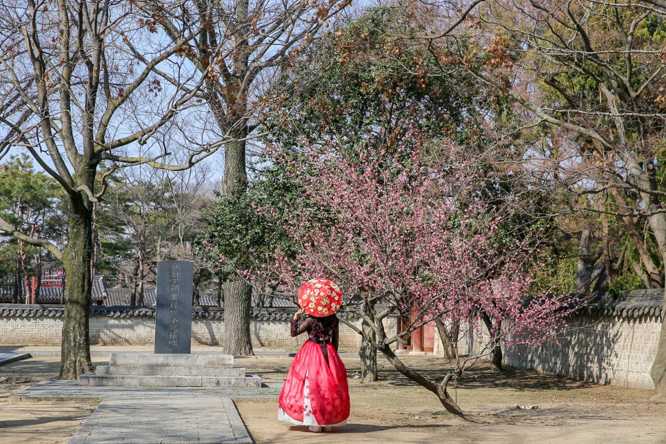 전주 가볼만한곳 베스트 여행코스 14곳 총정리