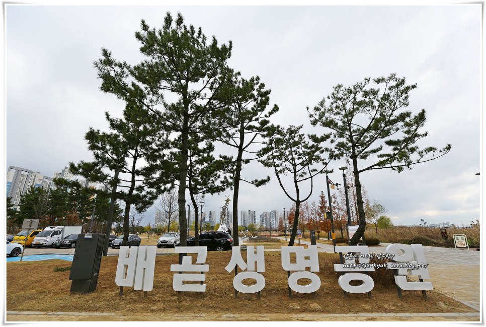 서울근교 갈만한곳 시흥 갯골생태공원,배곧생명공원