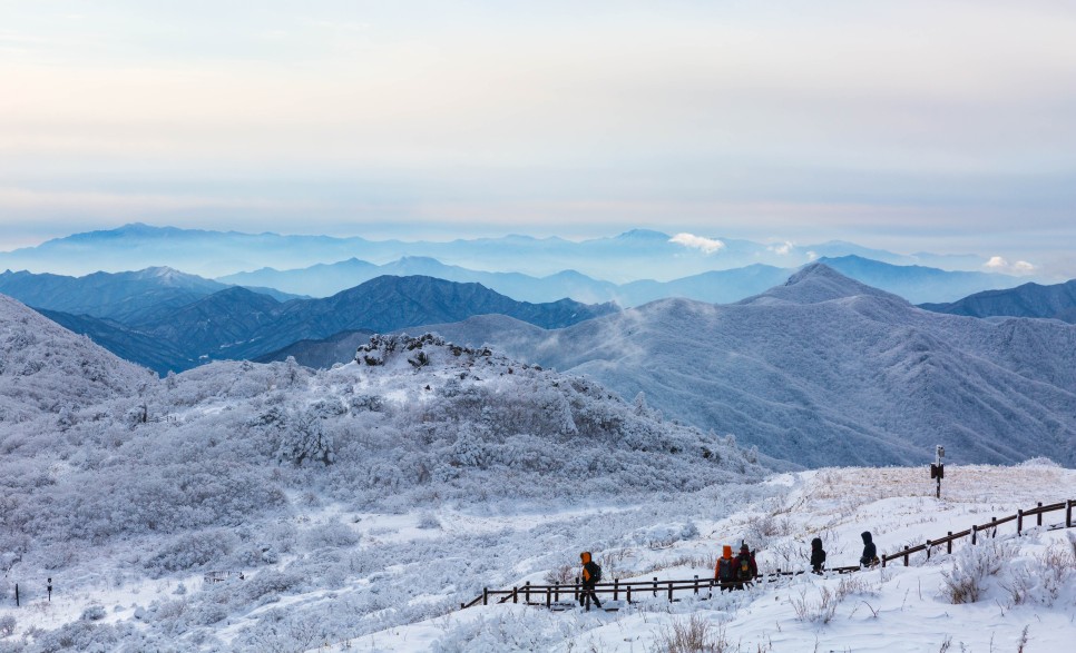 힐링 한 컷! 집콕하며 보는 설렘 가득 *̥❄︎˚겨울왕국*̥❄︎˚ :: 대관령삼양목장, 덕유산, 원대리자작나무숲, 대둔산