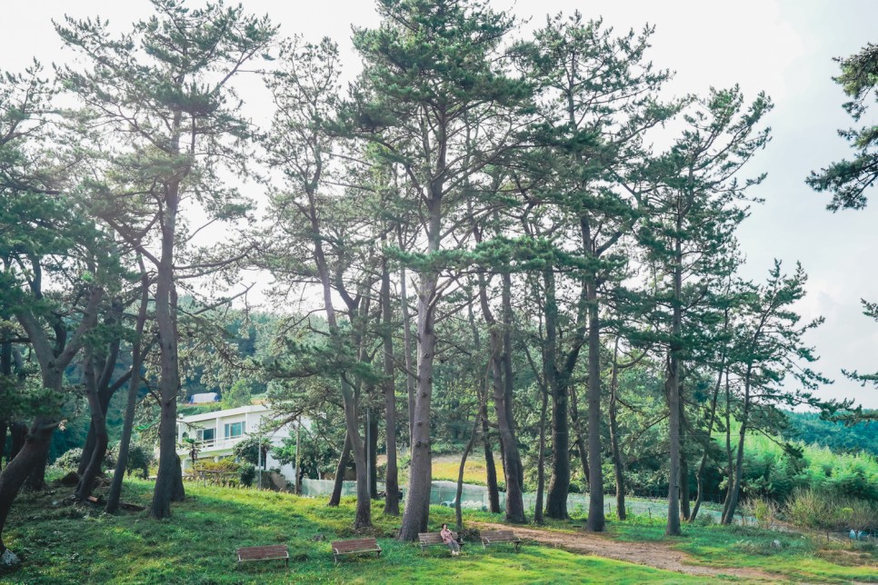 섬지순례 <섬마다 비경! 통영 랜선 섬투어>::연화도, 우도, 비진도, 소매물도, 한산도, 욕지도, 만지도, 연대도