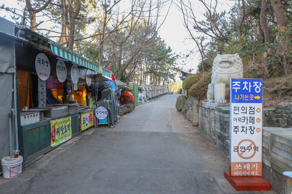 부산 겨울 여행 2박3일 코스 추천 프롤로그