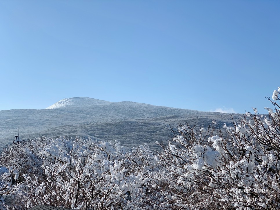 한라산 성판악코스 사라오름 주차장 정보 - 날씨 최고의 등산