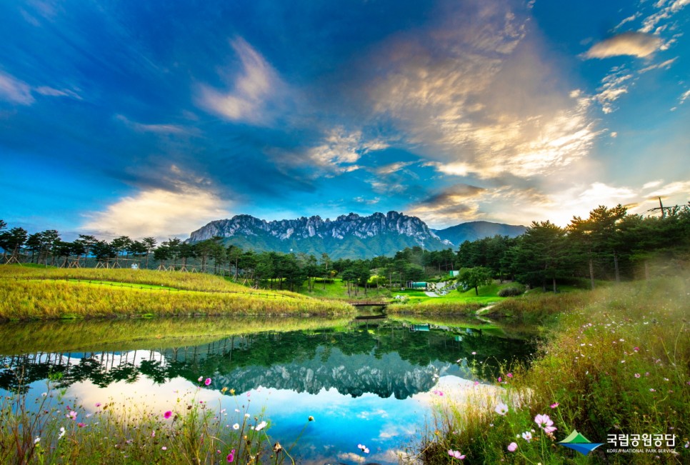 랜선으로 보는 국립공원의 사계절 풍경 :: 내장산국립공원, 한려해상국립공원, 설악산국립공원, 오대산국립공원