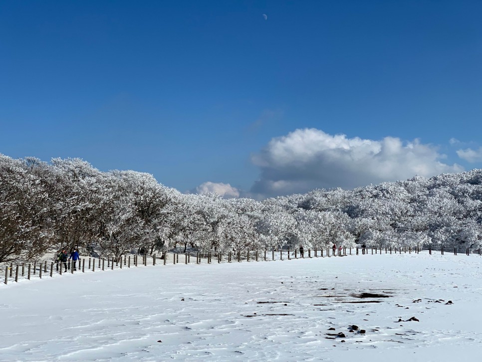 한라산 성판악코스 사라오름 주차장 정보 - 날씨 최고의 등산
