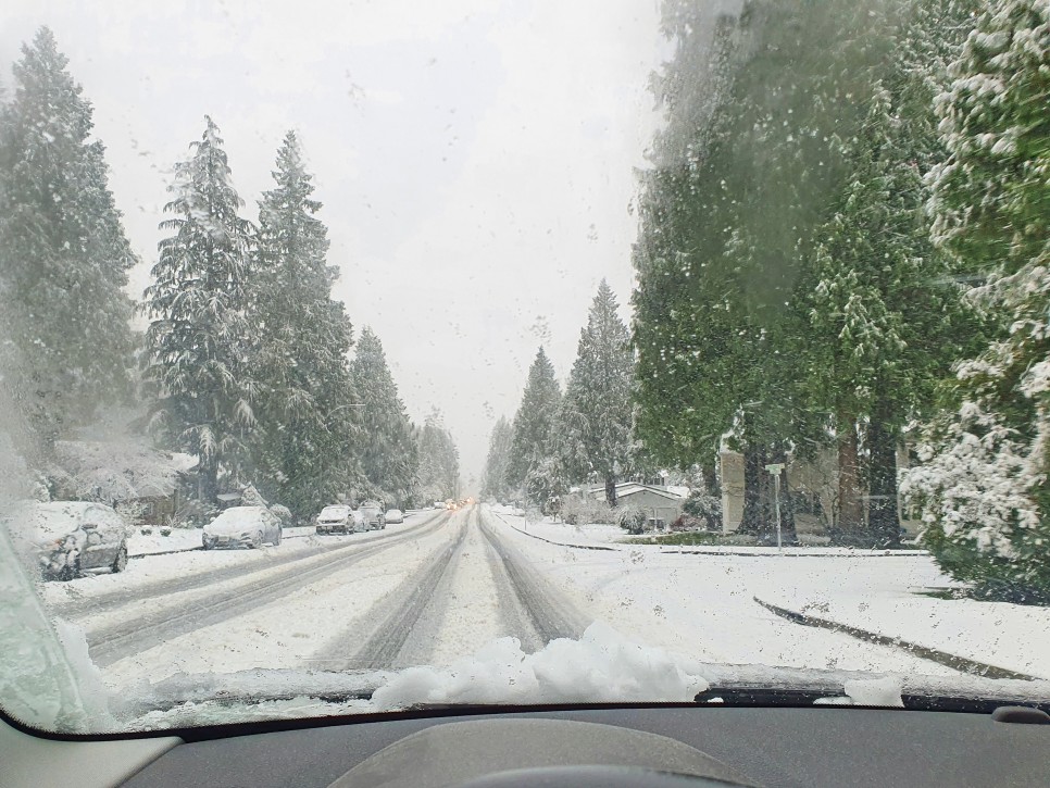 Vancouver 먹고사는 이야기_ 202012_ 첫눈, 잘 먹고 살고있음