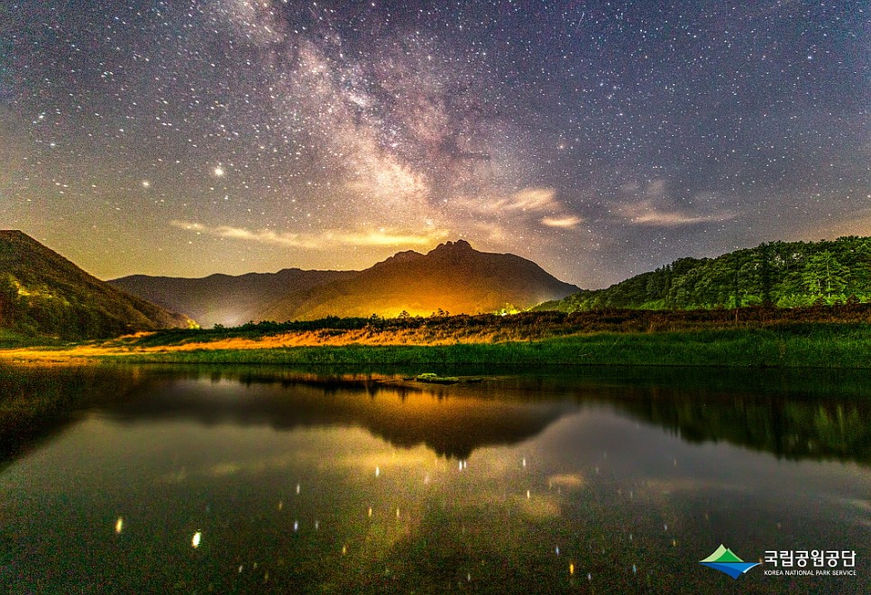 랜선으로 보는 국립공원의 사계절 풍경 :: 내장산국립공원, 한려해상국립공원, 설악산국립공원, 오대산국립공원