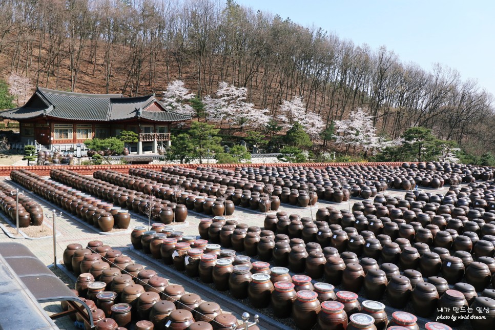 방구석 랜선여행 충북 가볼만한곳 10곳 돌아보기