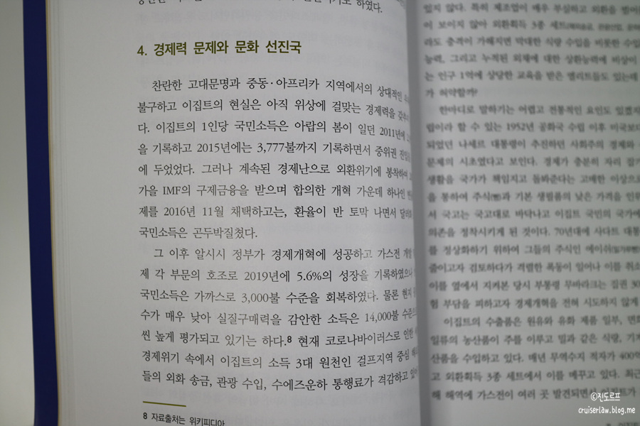 이집트 책, 외교관 에세이 이집트의 재발견 서평