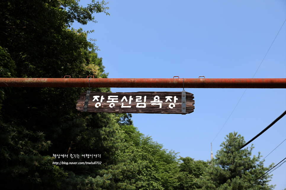 대전 여행 코스 대청호 하늘공원 나들이