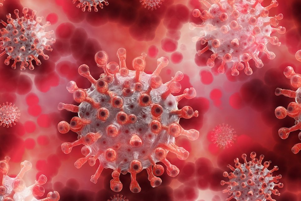 영국 코로나 변이 바이러스 증상 치명률은 안높아