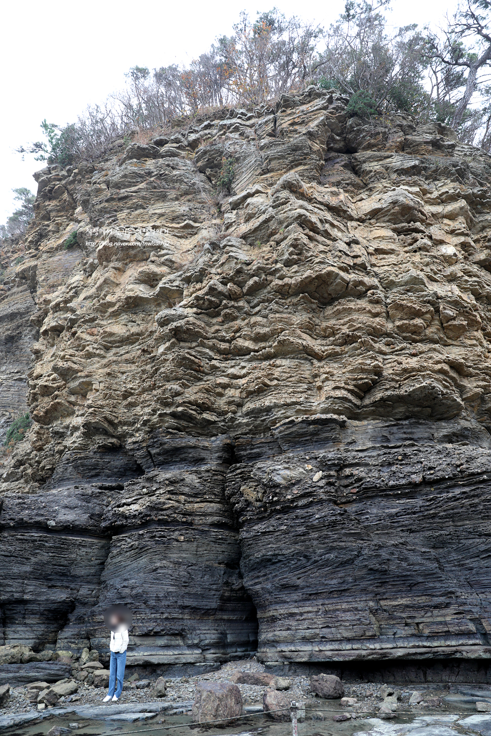 서해안 가볼만한곳 변산반도 물때표 채석강 해식동굴