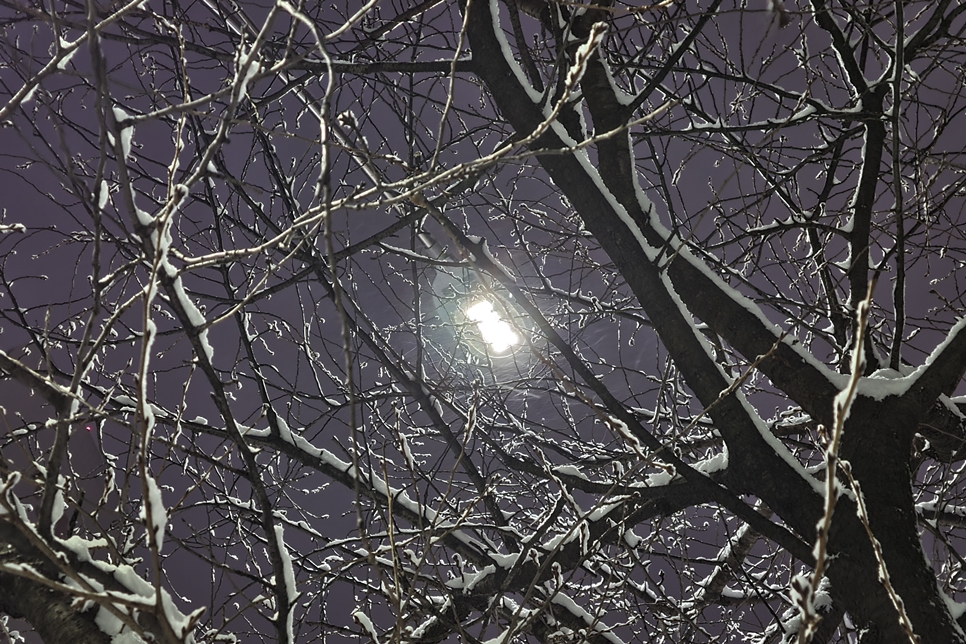 눈 오던 날 밤 풍경들, 갤럭시S20 플러스