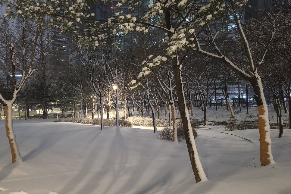 눈덮인 보라매공원 야경, 갤럭시s20플러스 야간촬영