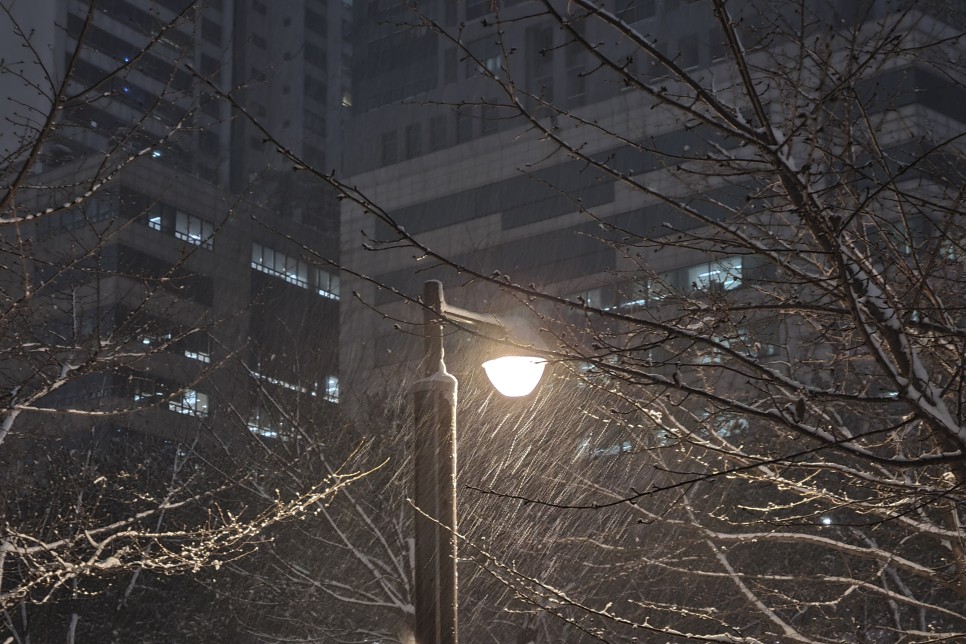 눈덮인 보라매공원 야경, 갤럭시s20플러스 야간촬영