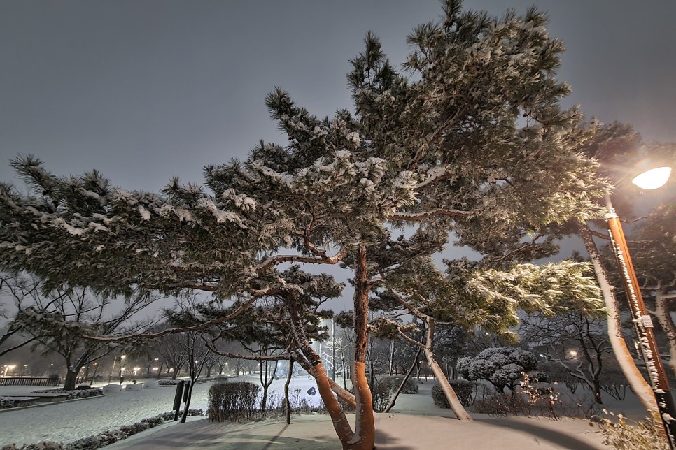 눈덮인 보라매공원 야경, 갤럭시s20플러스 야간촬영