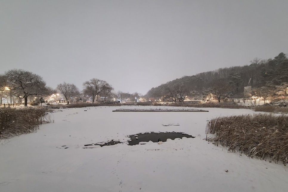 눈덮인 보라매공원 야경, 갤럭시s20플러스 야간촬영