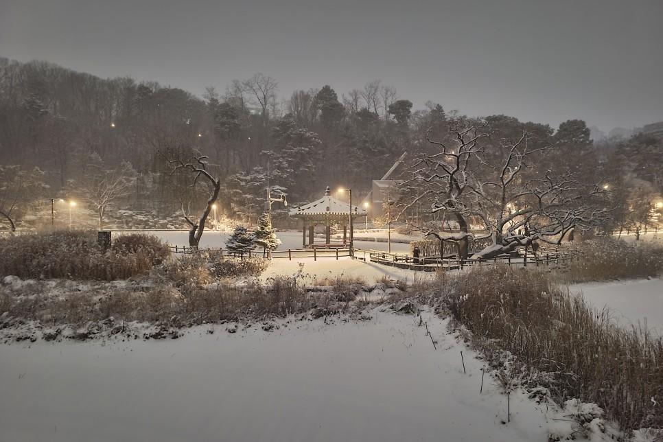 눈덮인 보라매공원 야경, 갤럭시s20플러스 야간촬영