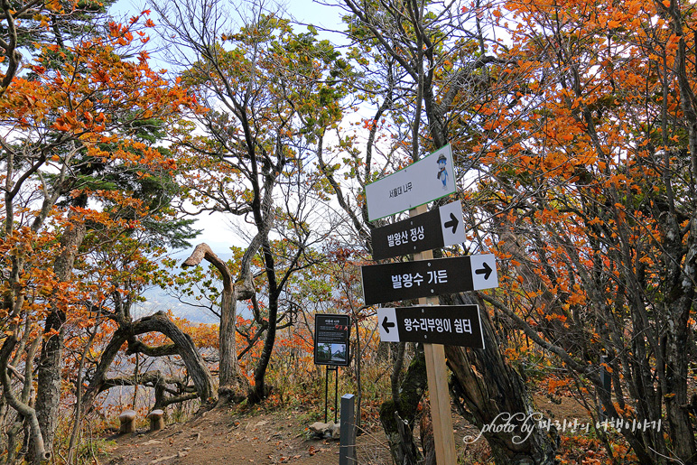 강원도 가볼만한곳 평창 발왕산 케이블카 & 스카이워크