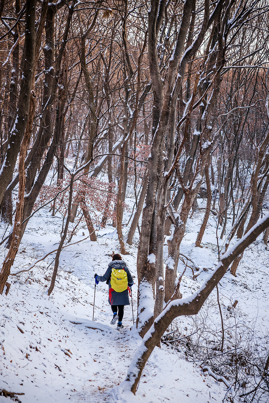 서울등산 초보자를 위한 남한산성 등산코스 남문찍고, 사기막골 근린공원으로 하산!!