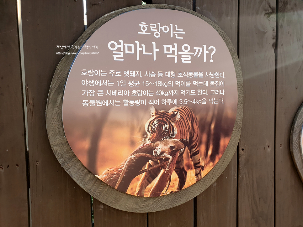 과천대공원 서울 동물원 아이와 가볼만한곳