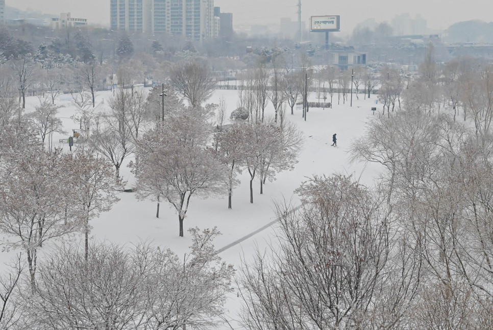 서울 눈오는날 한강 선유도 공원 겨울풍경