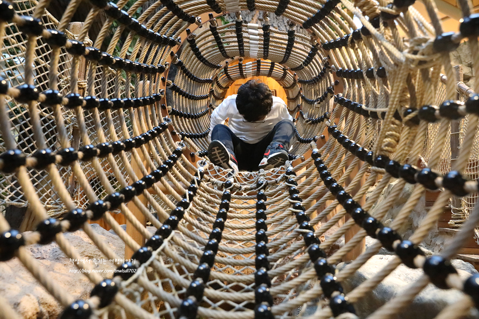 경기도 일산 가볼만한곳 아쿠아플라넷일산 입장권