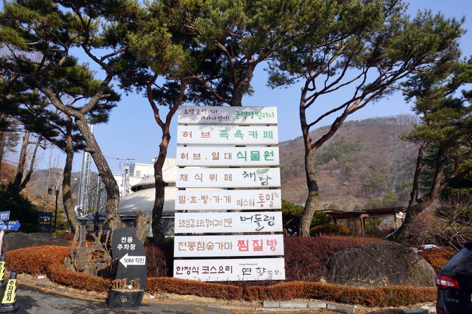 대전 근교 여행 나들이하기 좋은 금산 하늘물빛정원