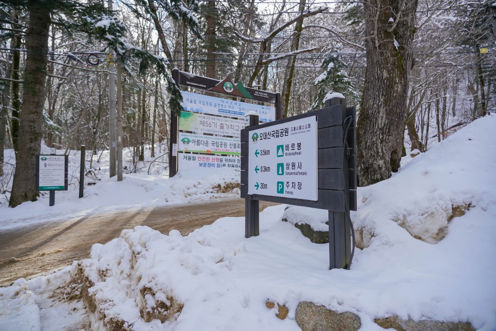 오대산 국립공원 아름다운 상원사 설경 보고 월정사 산책 (+등산코스)