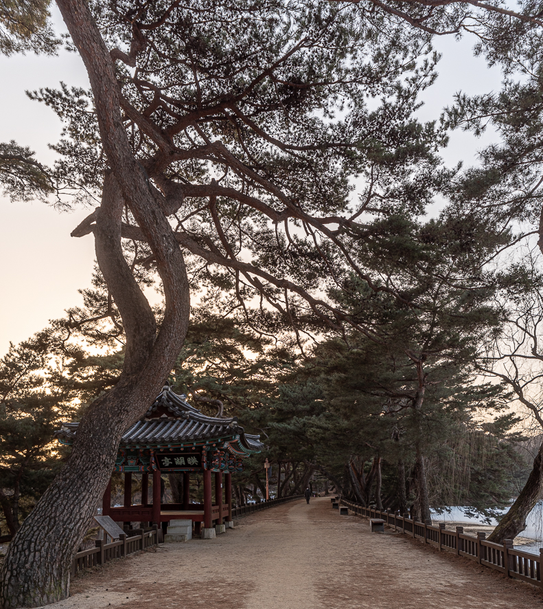 충북 가볼만한곳 대한민국 테마여행 10선 중부내륙힐링여행