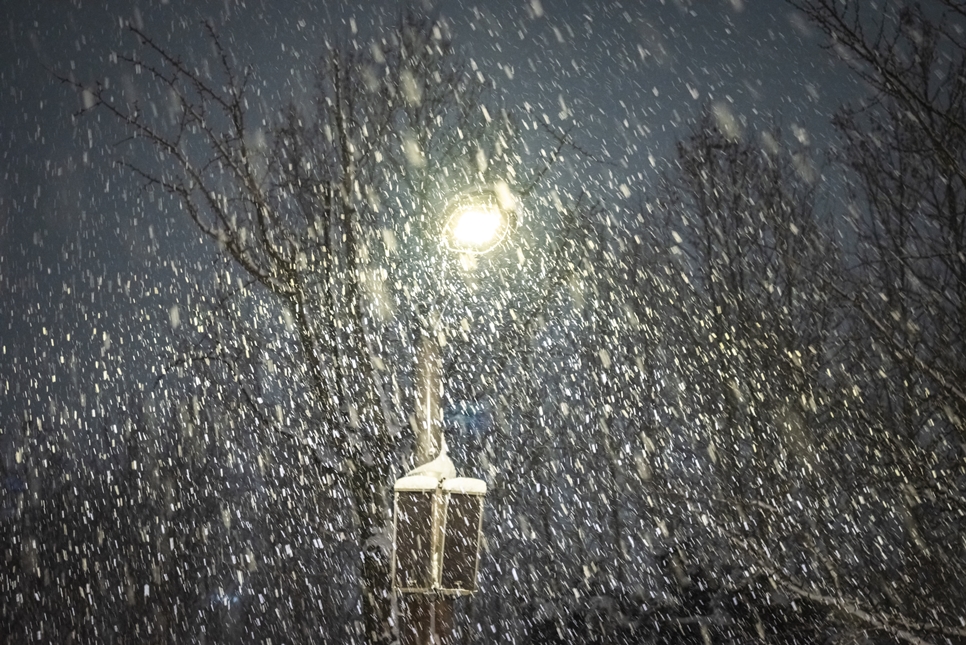 니콘 풀프레임 미러리스 Z5, 눈 오는 날 사진 촬영 팁