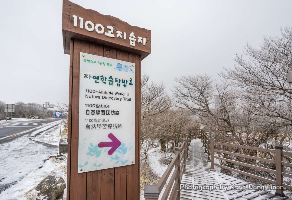국내 겨울 여행지 한라산 국립공원 1100고지 습지