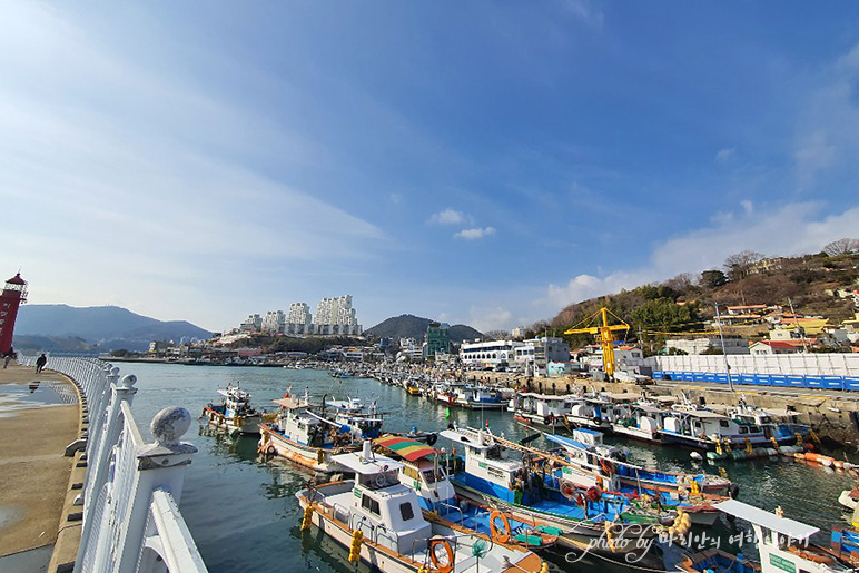 여수 가볼만한곳 오동도 동백꽃 보며 봄에 드라이브코스