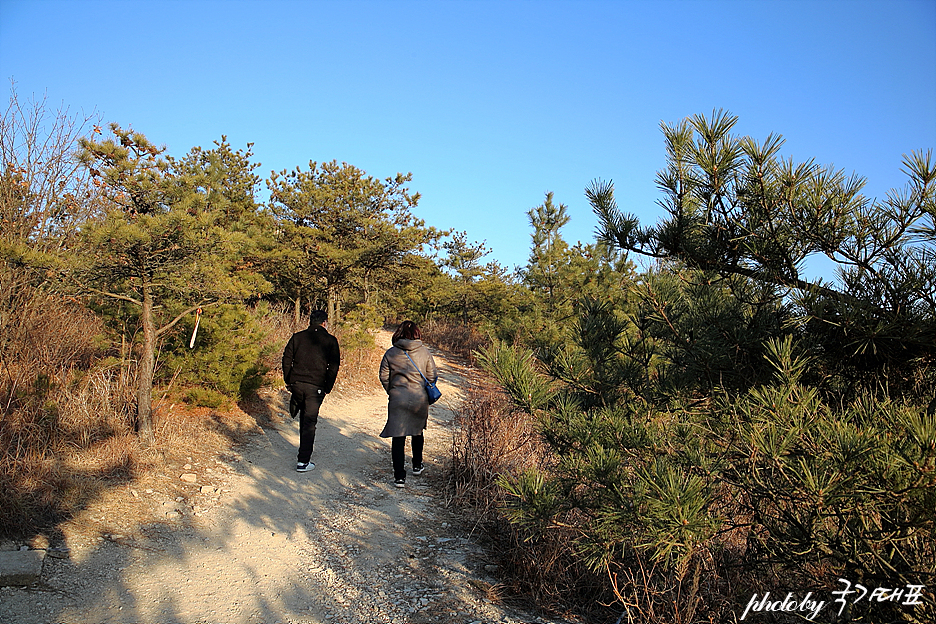 서울근교 가볼만한곳 안산 대부도 탄도항&시화나래휴게소 달전망대