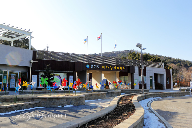 서울근교 드라이브코스 안산 대부도 탄도항, 바다향기수목원